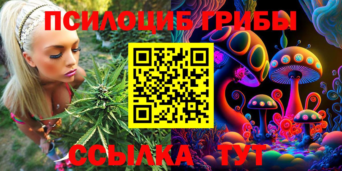 Псилоцибиновые грибы MAGIC MUSHROOMS  Галлюциногенные грибы мицелий  Братск  Вход с VPN 